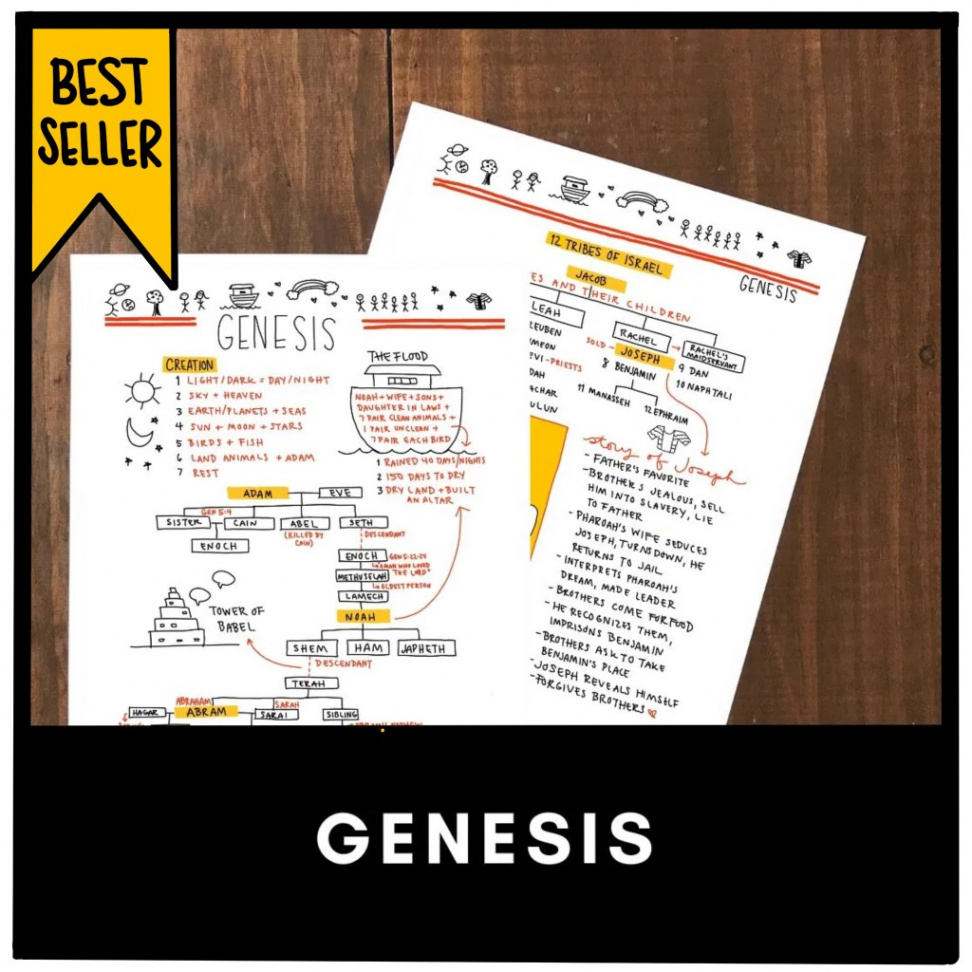 Now You Can Answer Genesis Bible Study Questions with this PDF