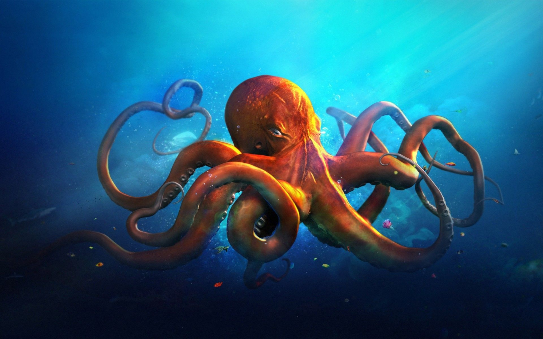 octopus  Octopus wallpaper, Octopus illustration, Octopus art drawing