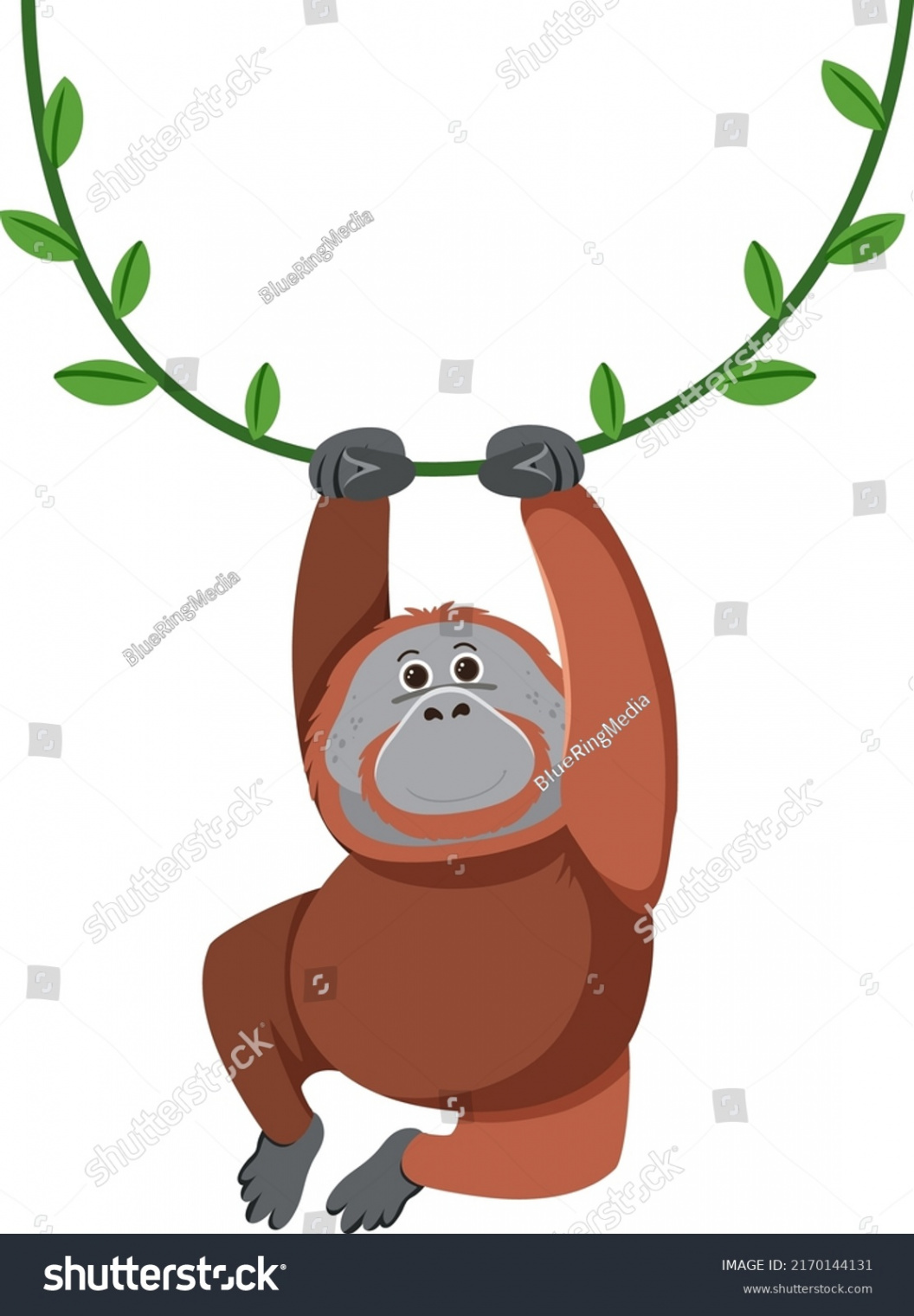, Orangutan Drawing Images, Stock Photos, D objects