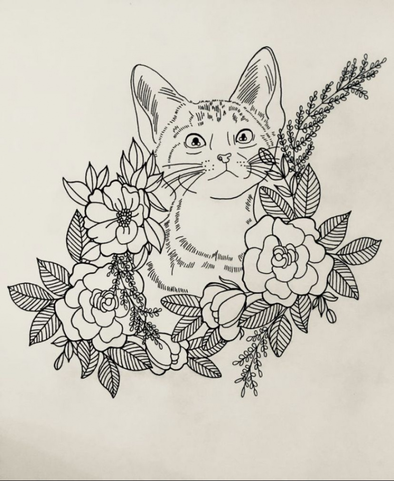 Original animal sketch of a cat by Olive Cat Collective  Flower