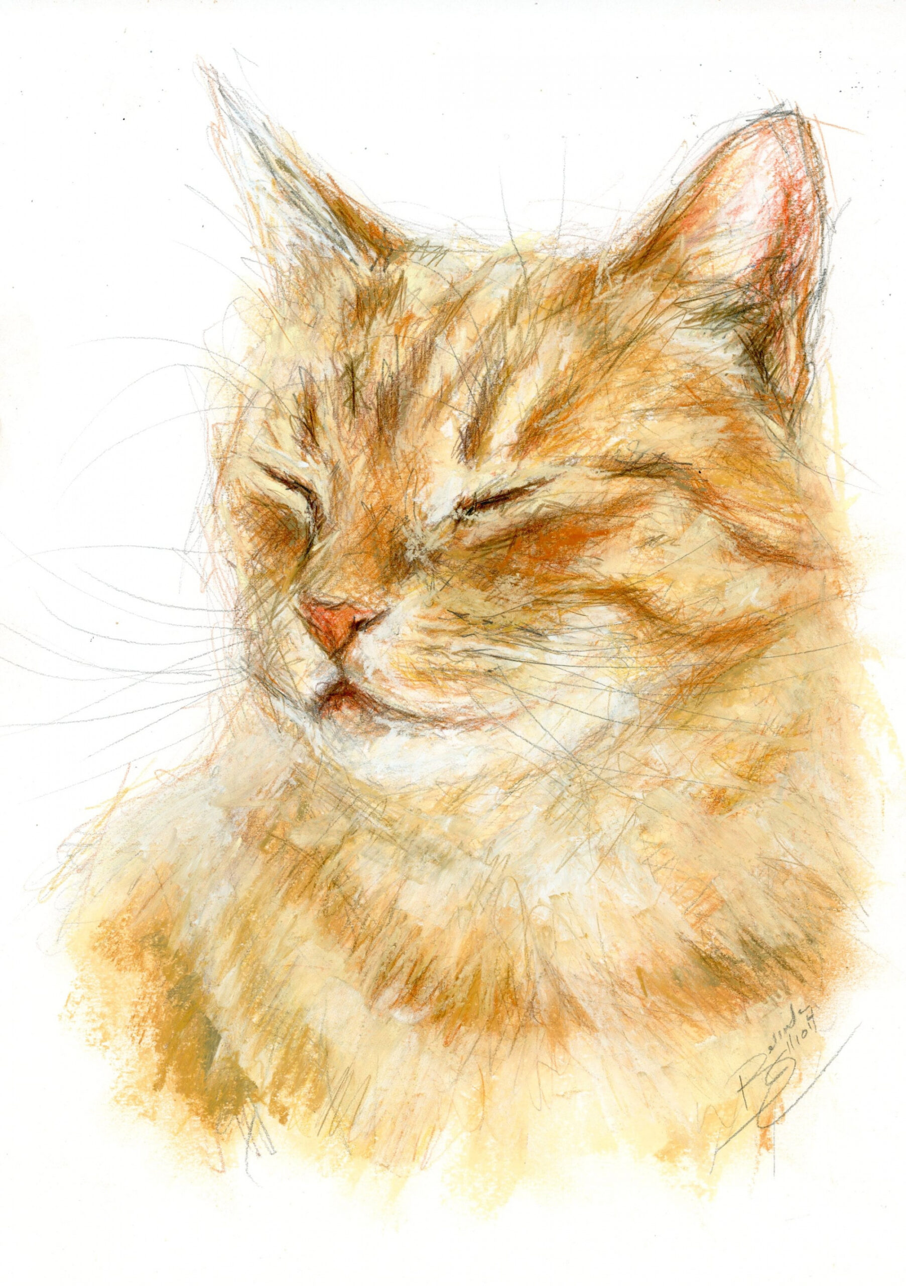 Original Artwork A Mixed Media Drawing of a Ginger Cat by Animal