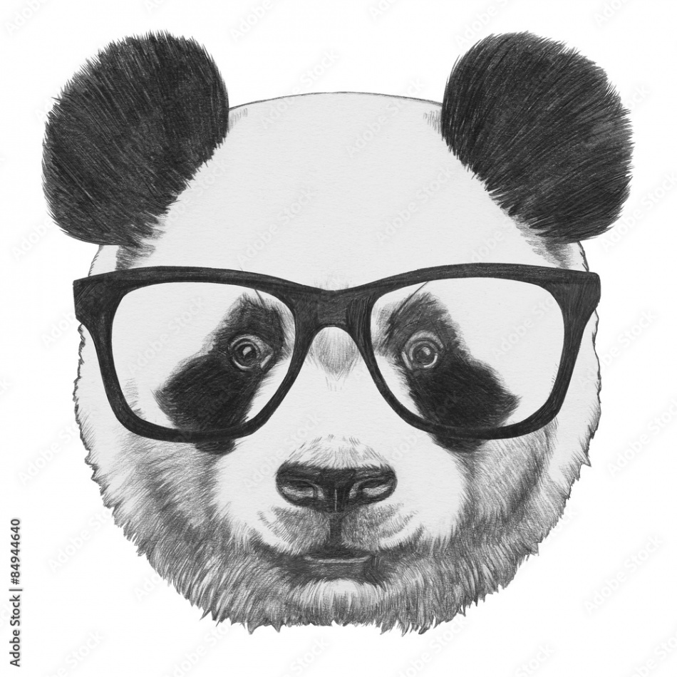 Original drawing of Panda with glasses