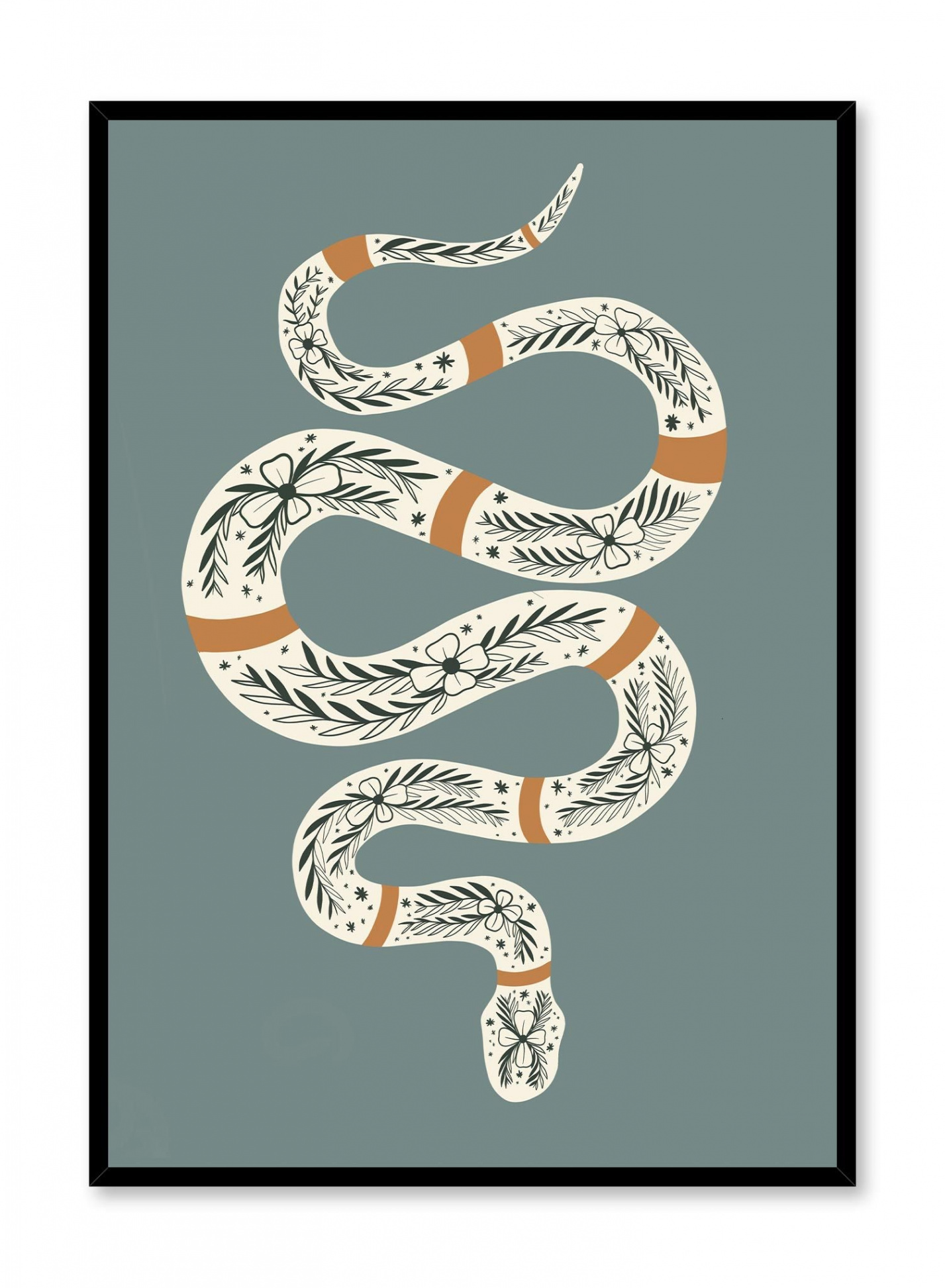 Ornate Snake  Snake with Unique Pattern Illustration by Opposite Wall