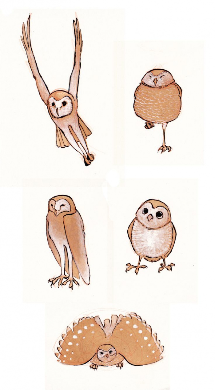 Owls by CheiftainMaelgwyn on deviantART  Owl, Illustration art