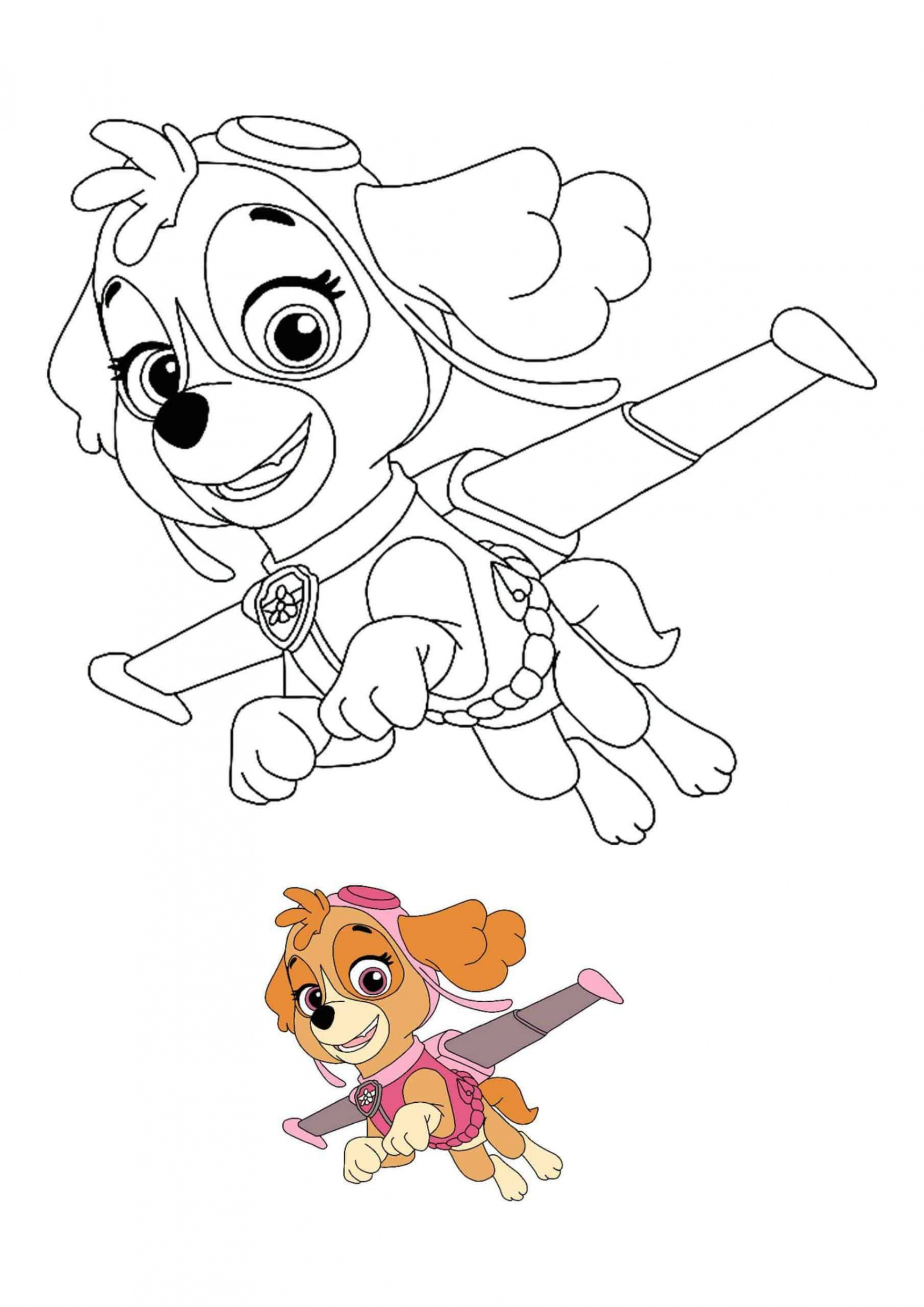 Paw Patrol Skye Coloring Pages  Paw patrol coloring pages, Paw