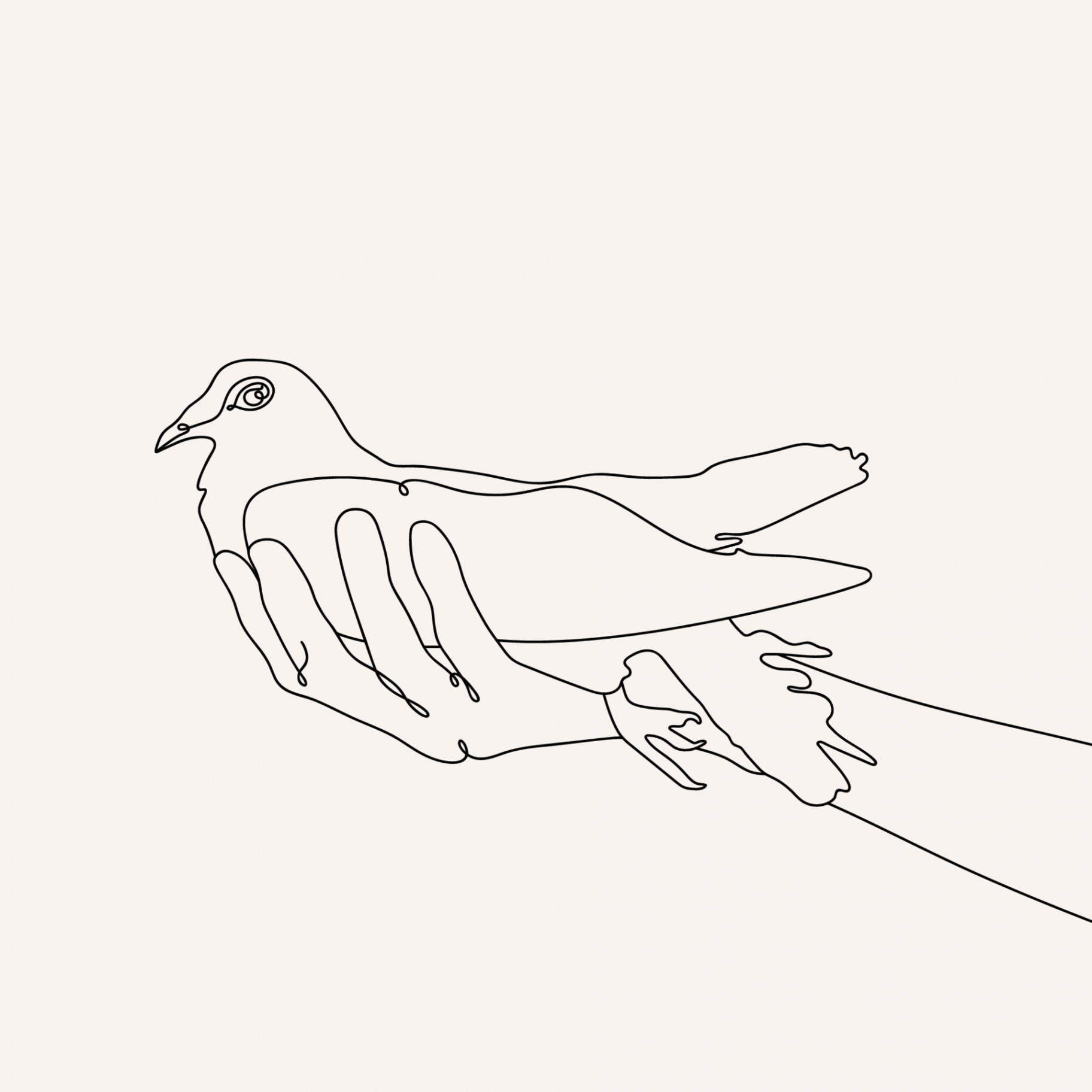 Peace Dove in hand, Continuous one Line drawing