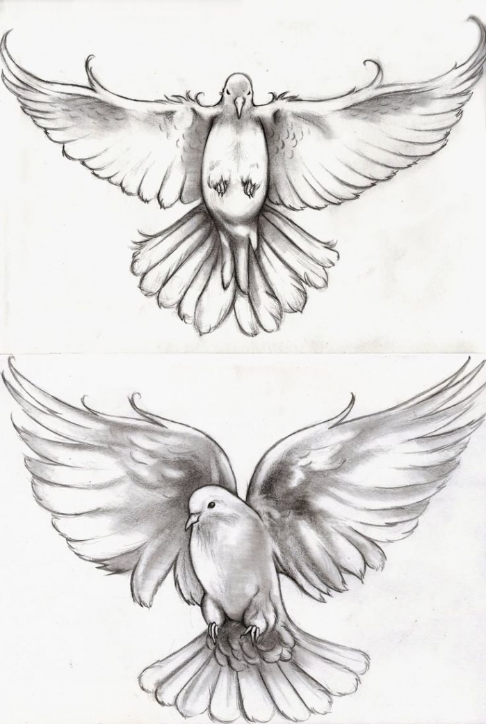 Pin by Caden Hebb on Tattoo Inspiration  Dove tattoo design, Dove