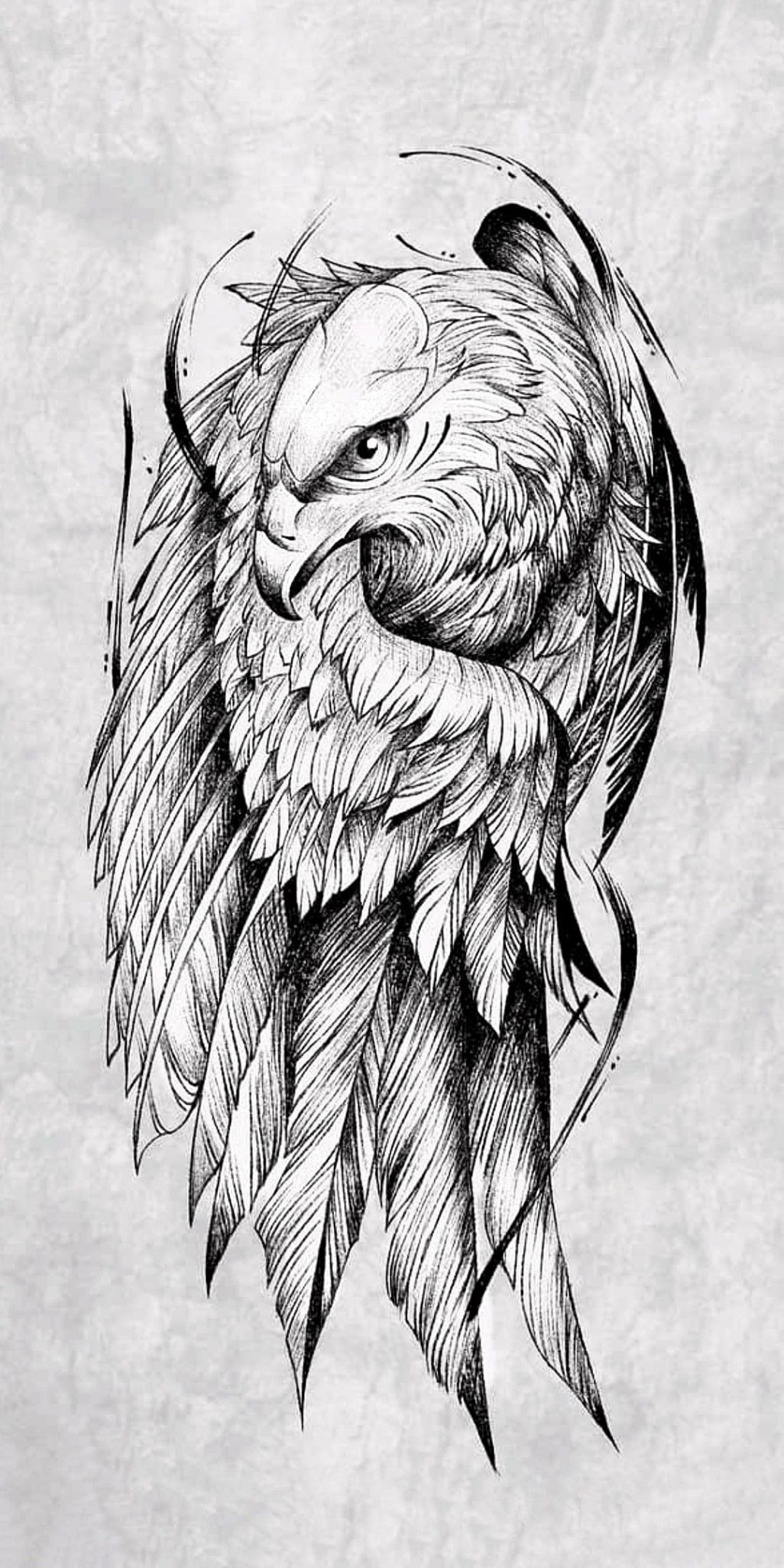 Pin by Greg Rosa on Salvamentos rápidos  Tattoo sketches, Eagle