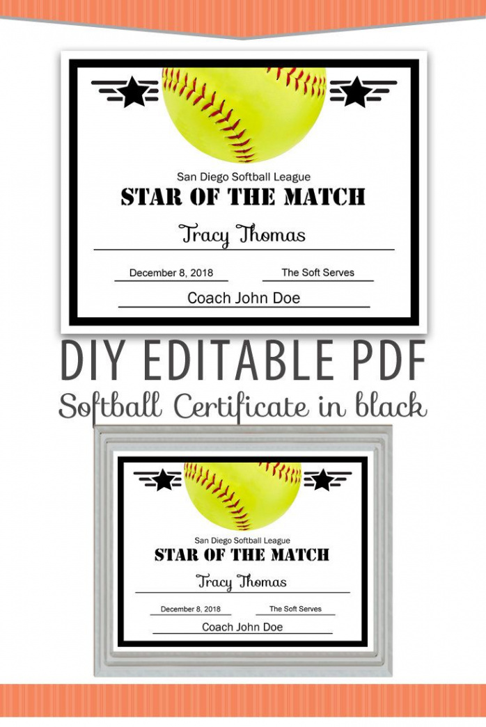 Pin on DIY Editable Certificates