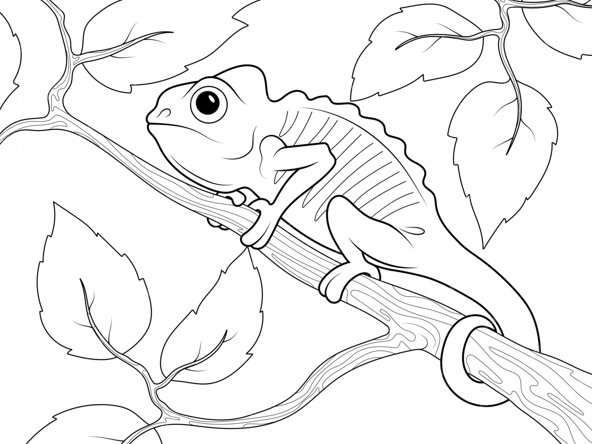 Premium Vector  Chameleon on a tree branch page outline of