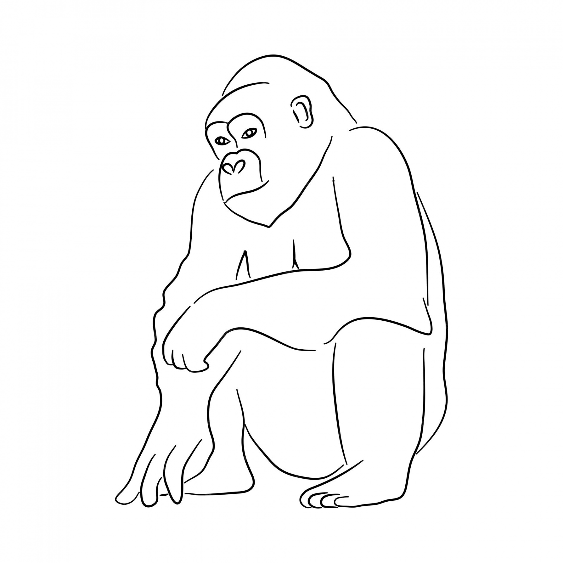 Premium Vector  Gorilla illustration in doodle style vector