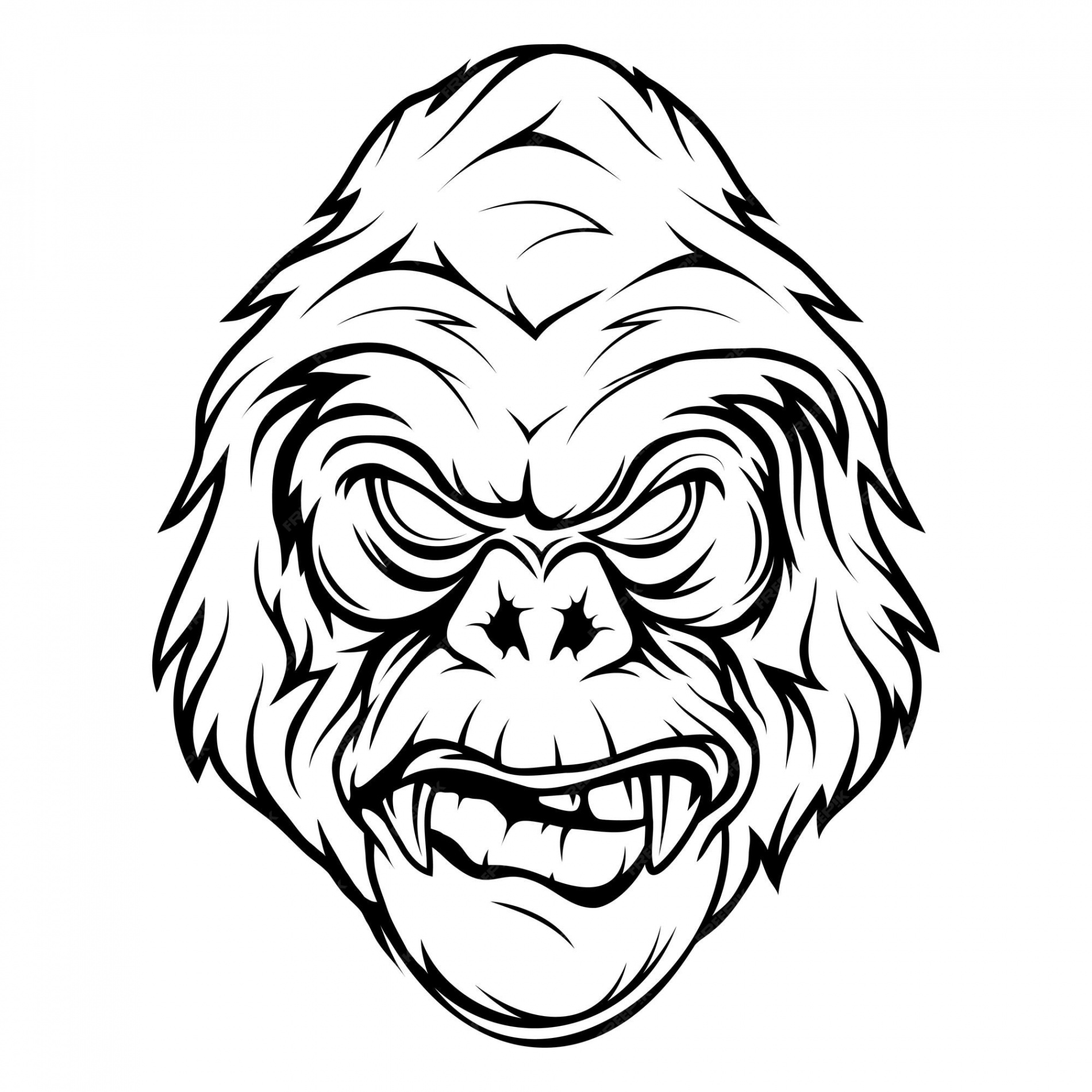 Premium Vector  Gorilla vector illustration of primates sketch of