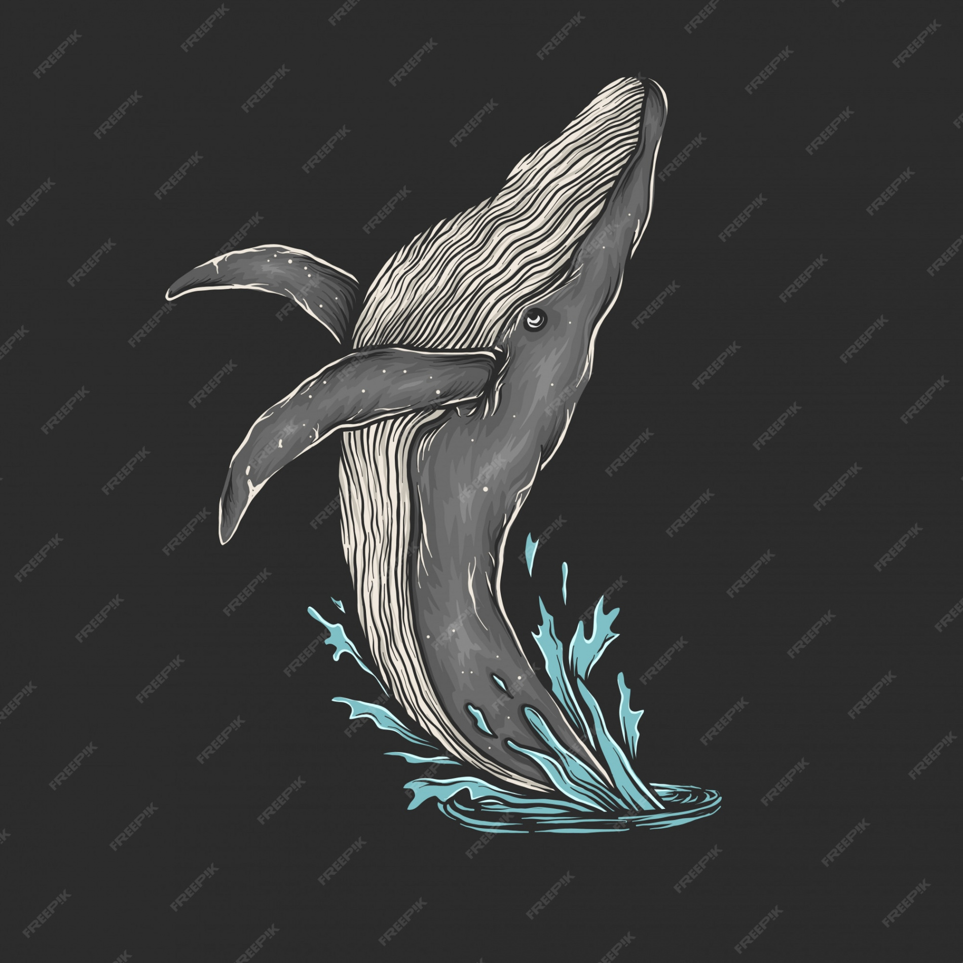 Premium Vector  Hand drawing vintage whale jump vector illustration