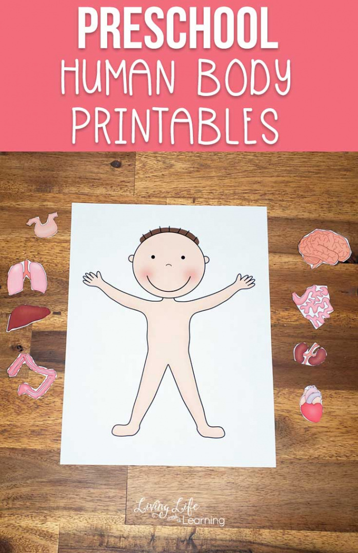 Preschool Human Body Printables