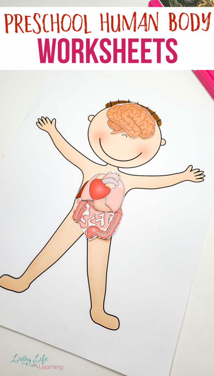 Preschool Human Body Printables