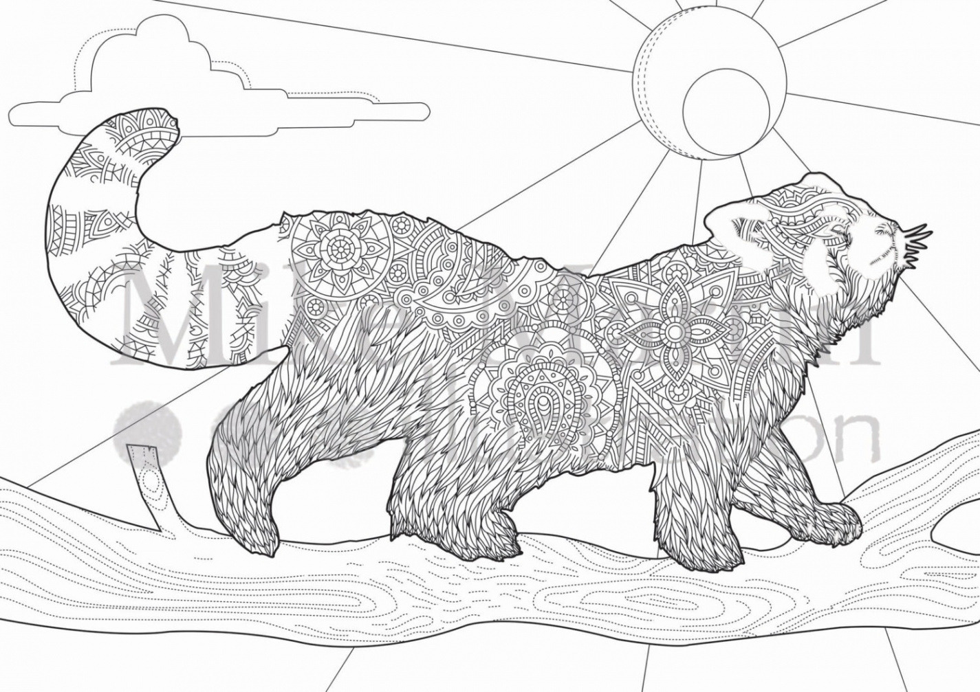 Printable Red Panda Coloring Page Instant Download Adult Coloring