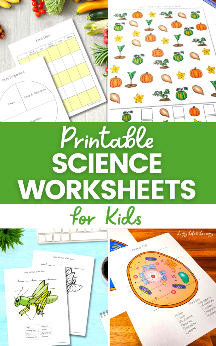 Printable Science Worksheets for Kids