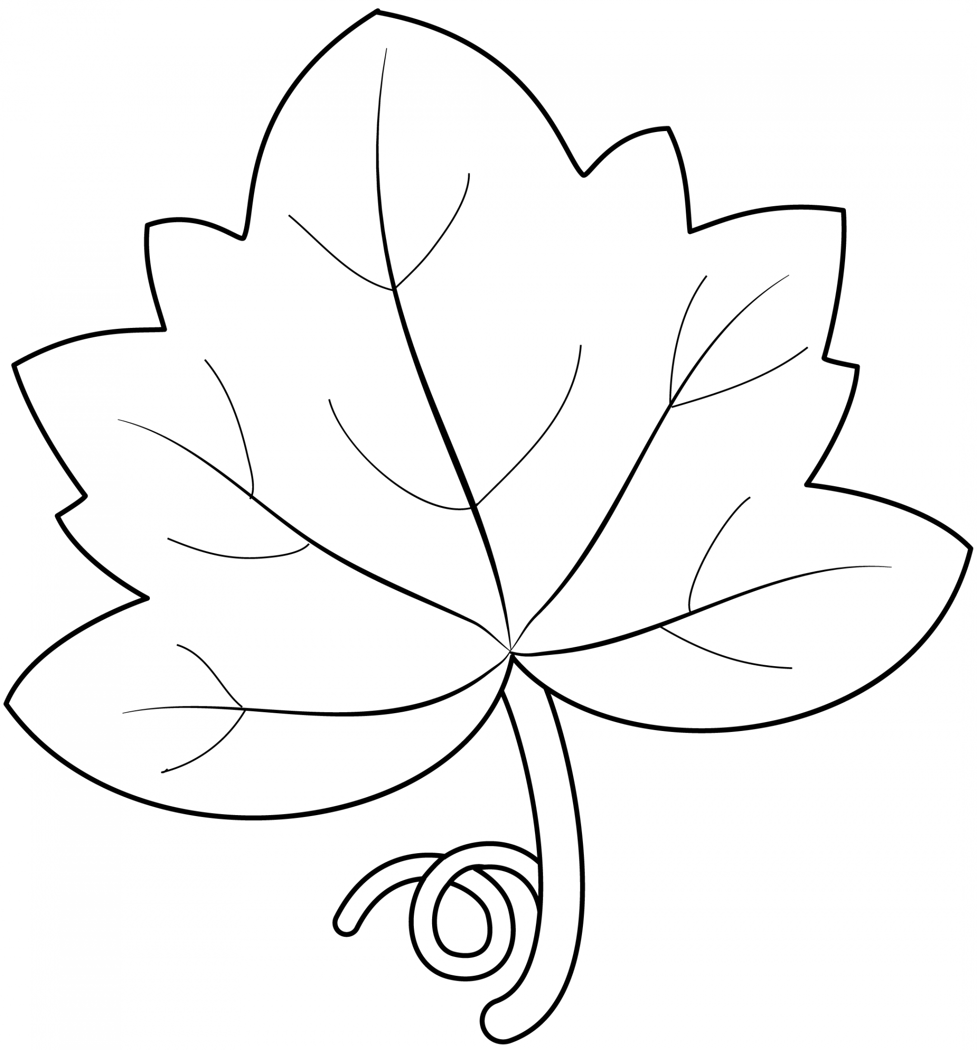 Pumpkin Leaf Printable Template  Free Printable Papercraft