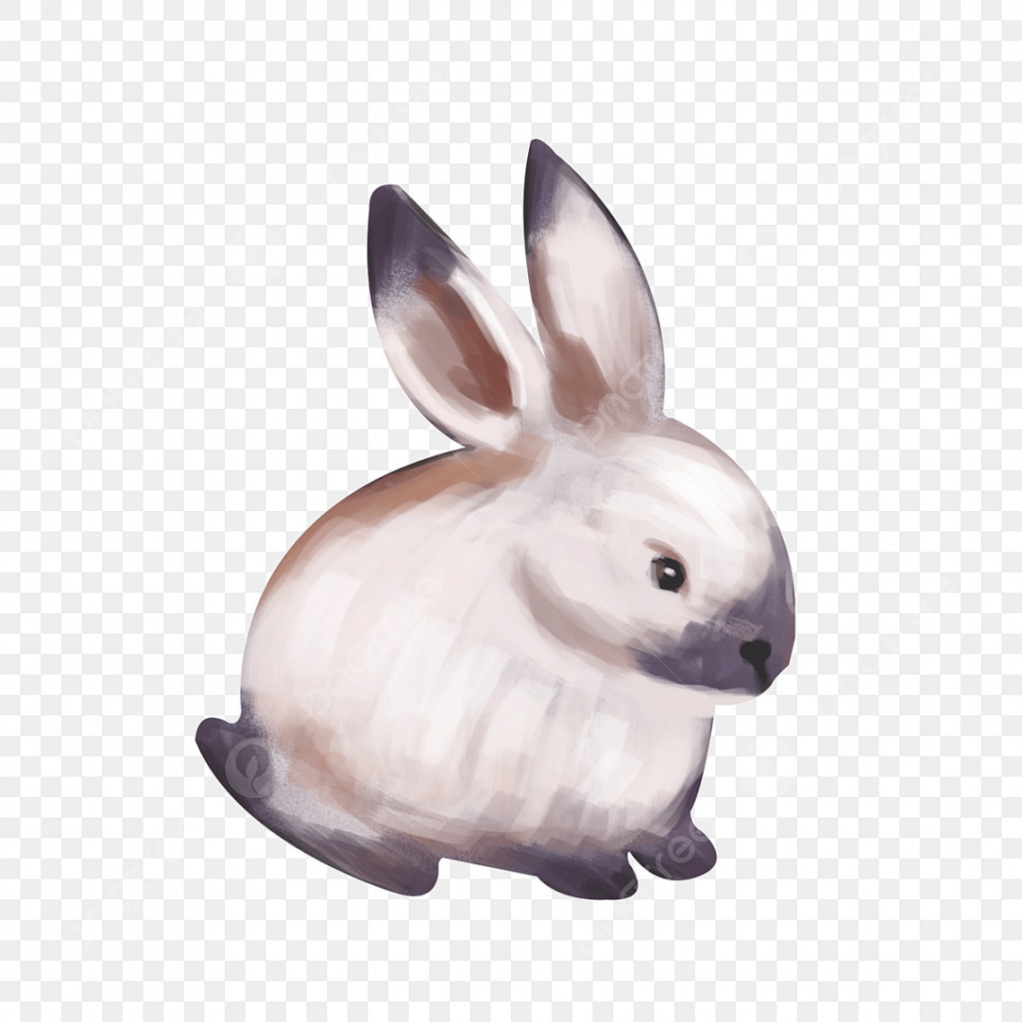 Rabbit PNG Images, Download + Rabbit PNG Resources with