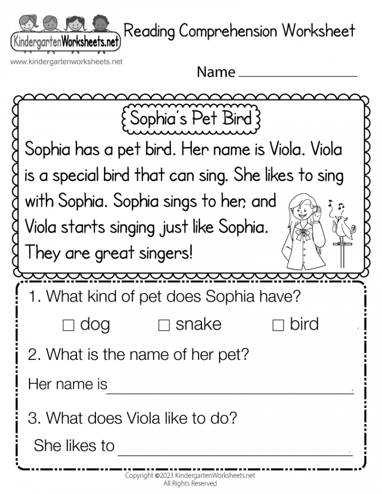 Reading Comprehension Worksheet - Free Printable, Digital, & PDF