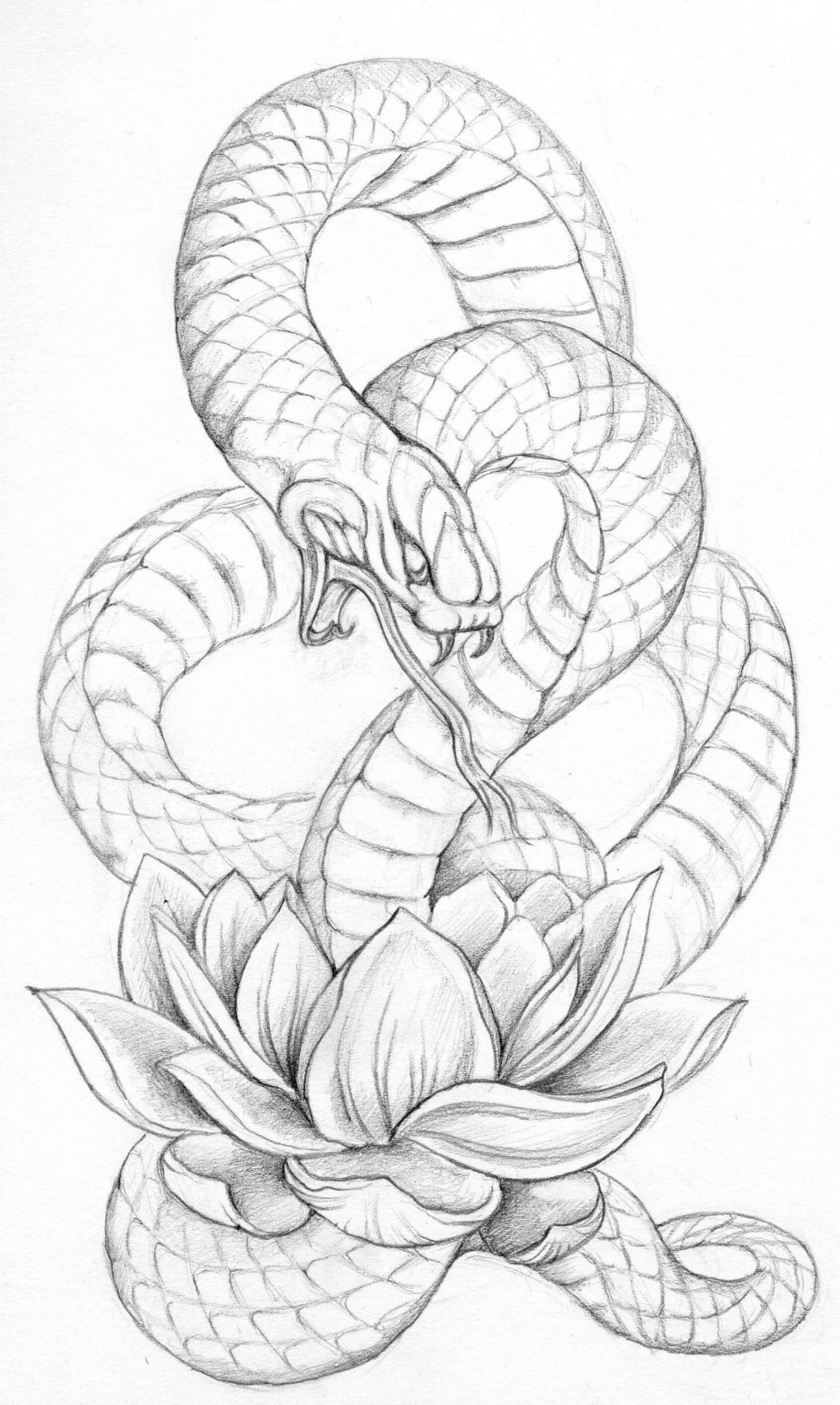 Realistic Snake Tattoo Drawing Ideas  PetPress  Snake drawing