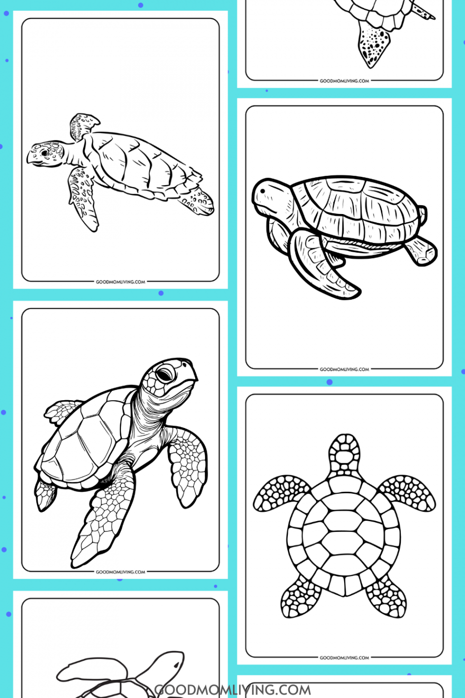 Sea Turtle Coloring Pages (Free Printable Turtles) - Good Mom Living