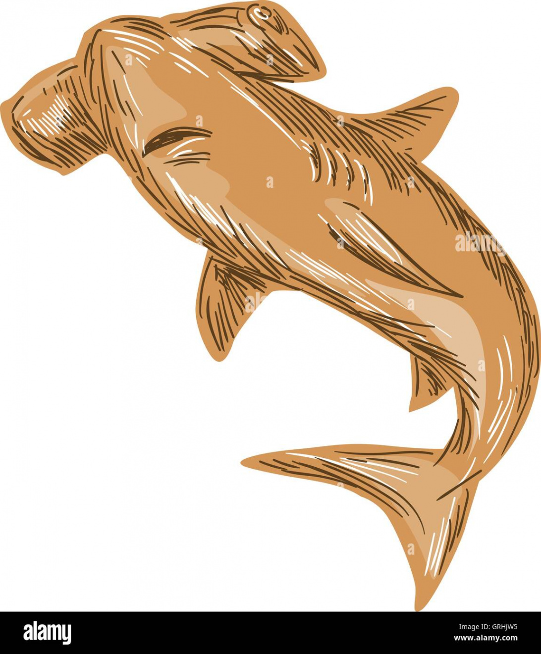 Shark drawing hi-res stock photography and images - Alamy