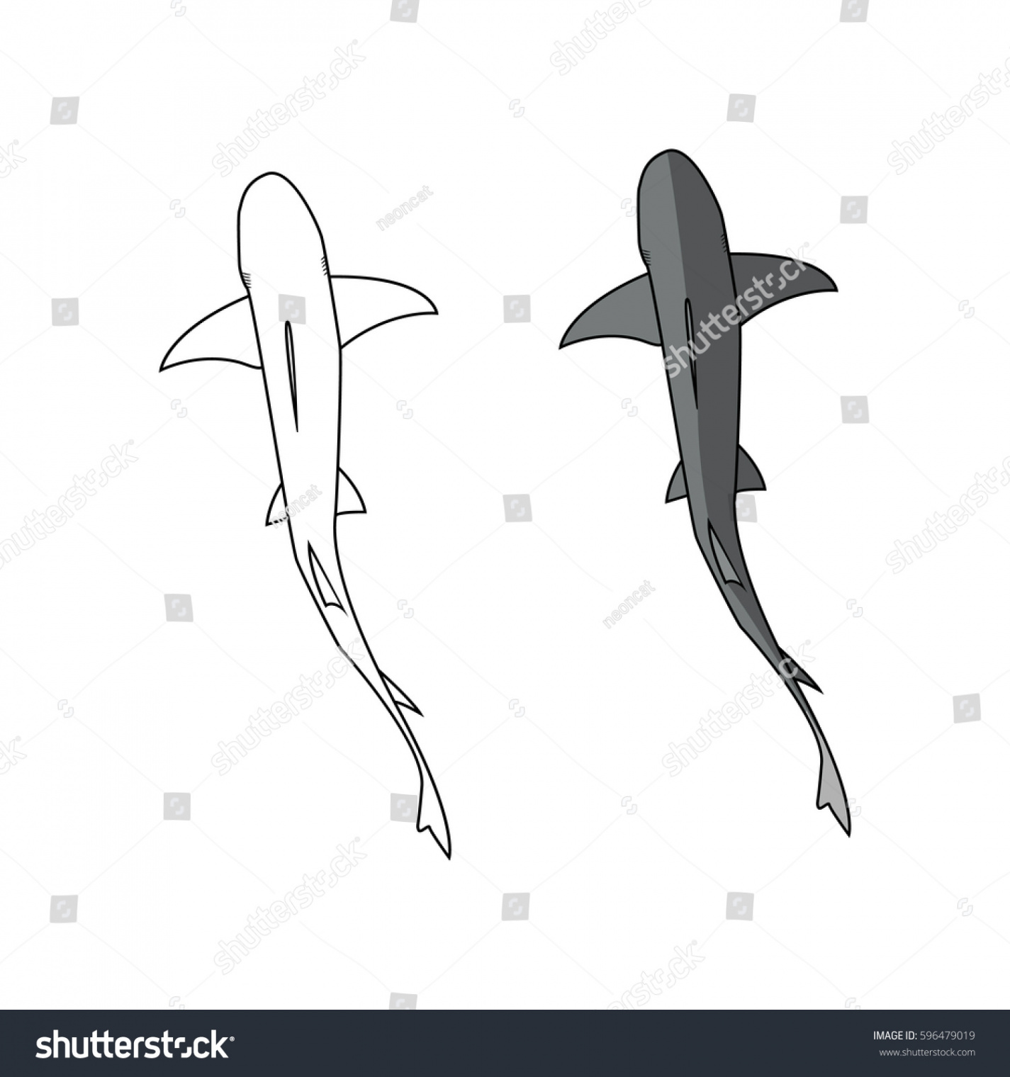 Shark Top View Vector Illustration Stock Vector (Royalty Free