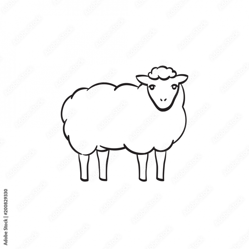 Sheep with wool hand drawn outline doodle icon
