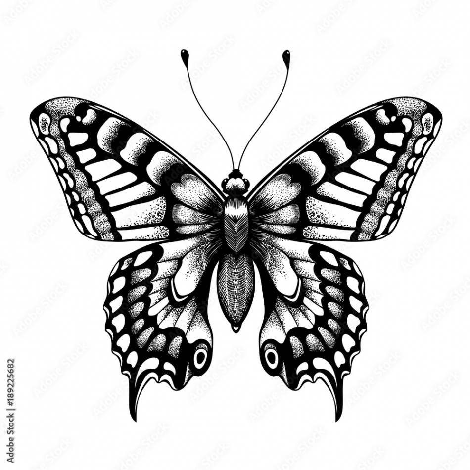 Silhouette of butterfly. Tattoo butterfly