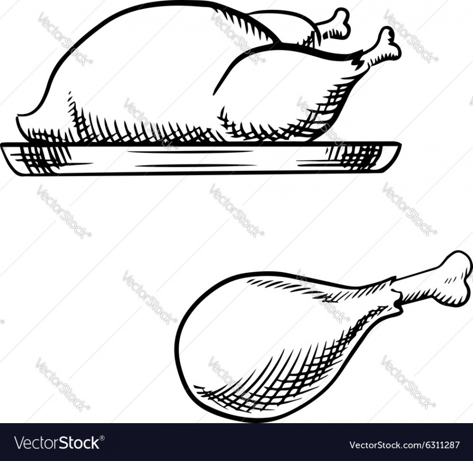 Sketch of roasted full chicken and leg Royalty Free Vector