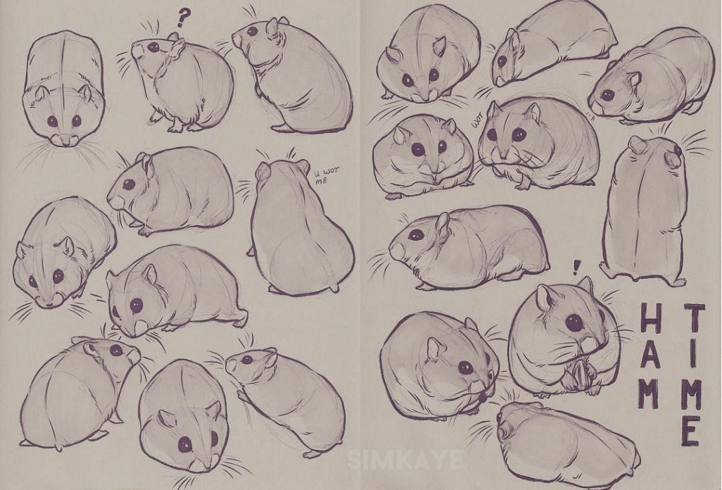 Sketchbook doodles 🐹 .