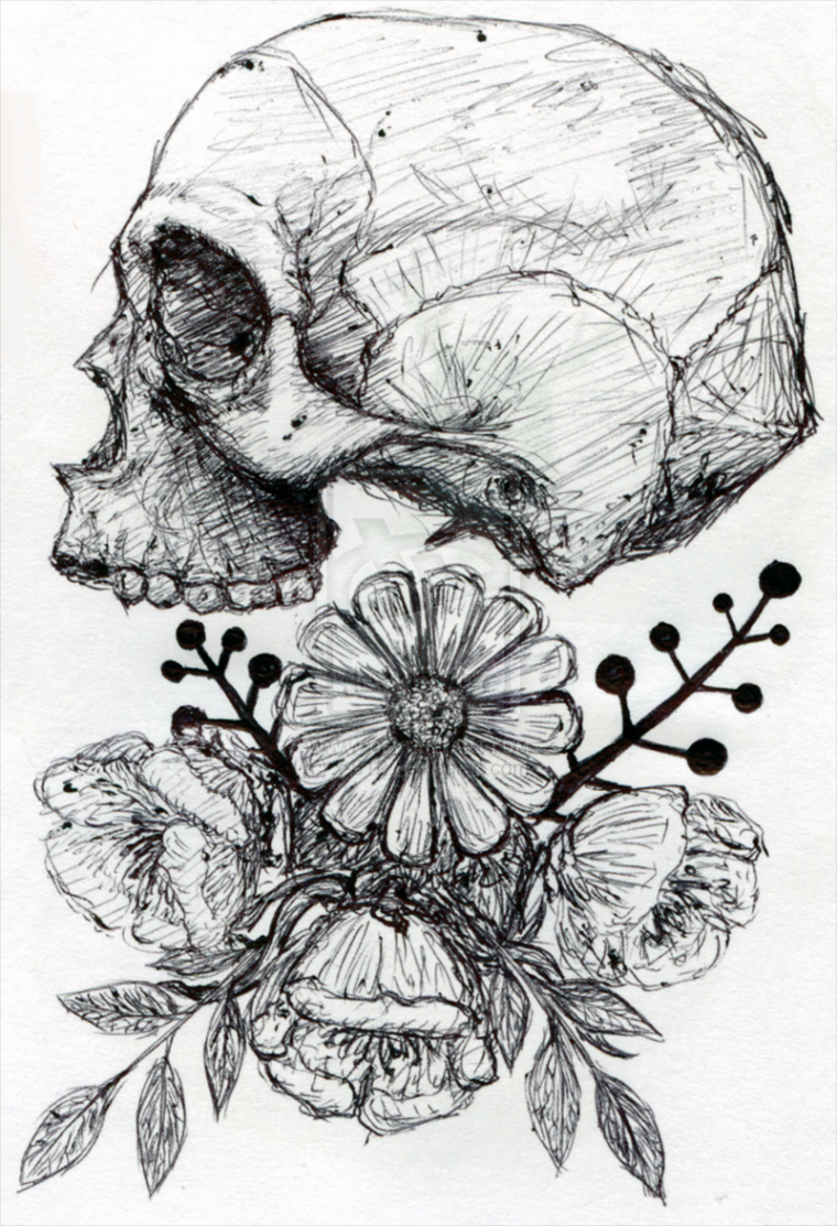 skull and flowers sketch  Skull art, Tattoo sketches, Skull