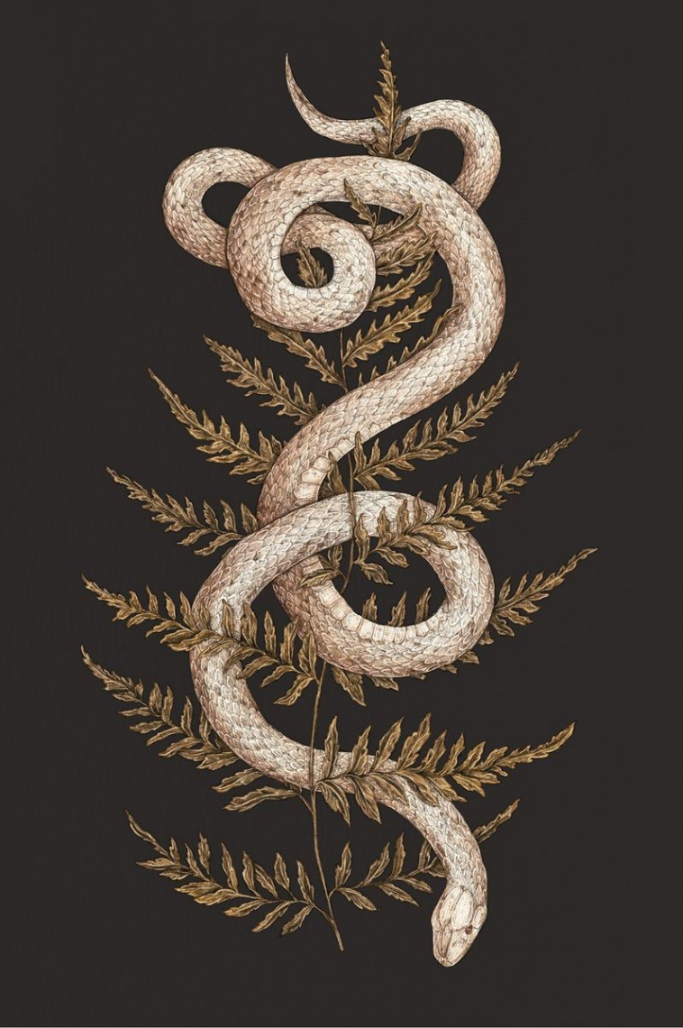 Snake Art Wallpapers - Wallpaper Cave