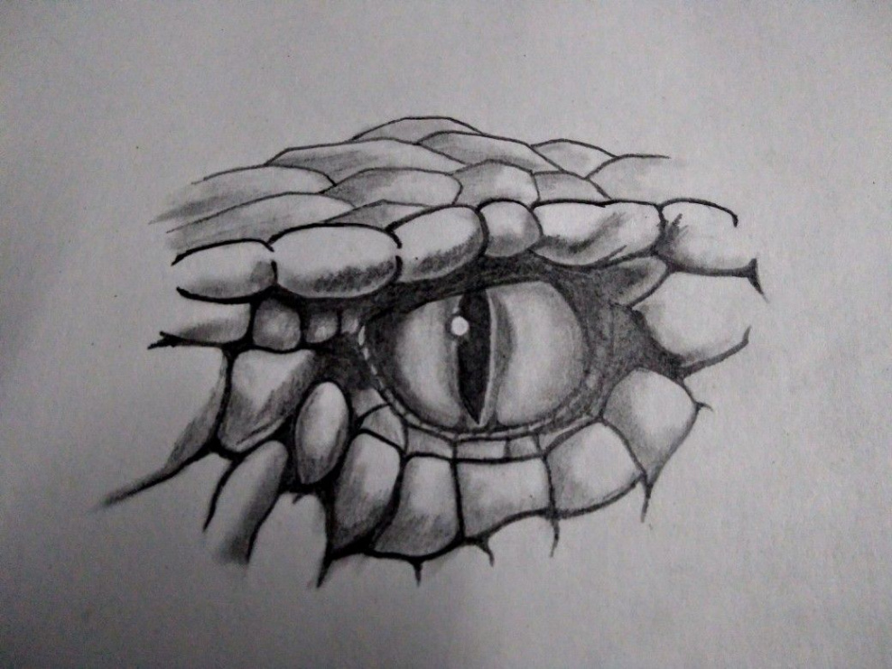 Snake eye drawing #snake #eye #drawing #tattoo #design #pencil