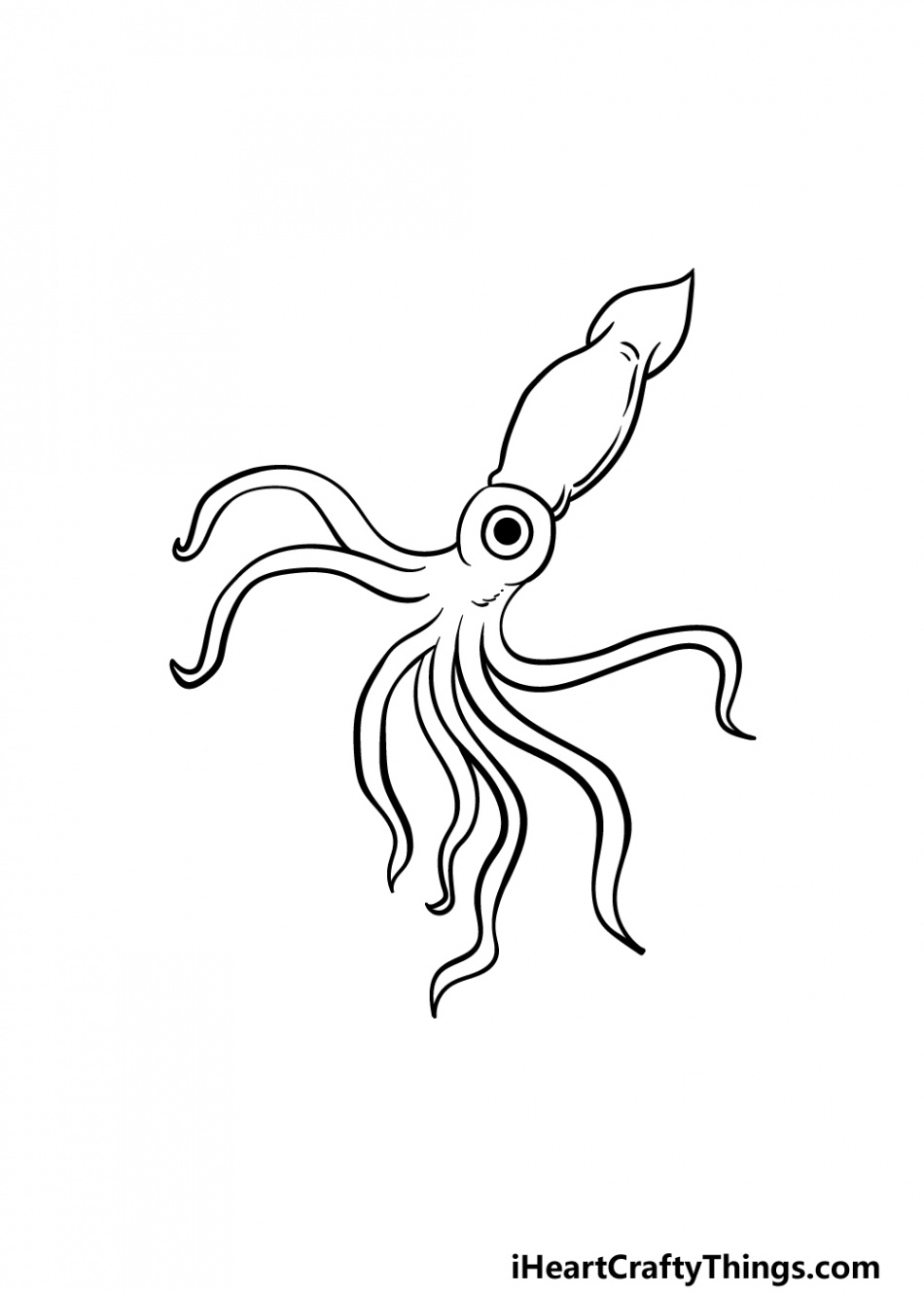 Squid Drawing - How To Draw A Squid Step By Step