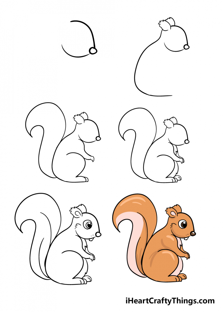 Squirrel Drawing - How To Draw A Squirrel Step By Step