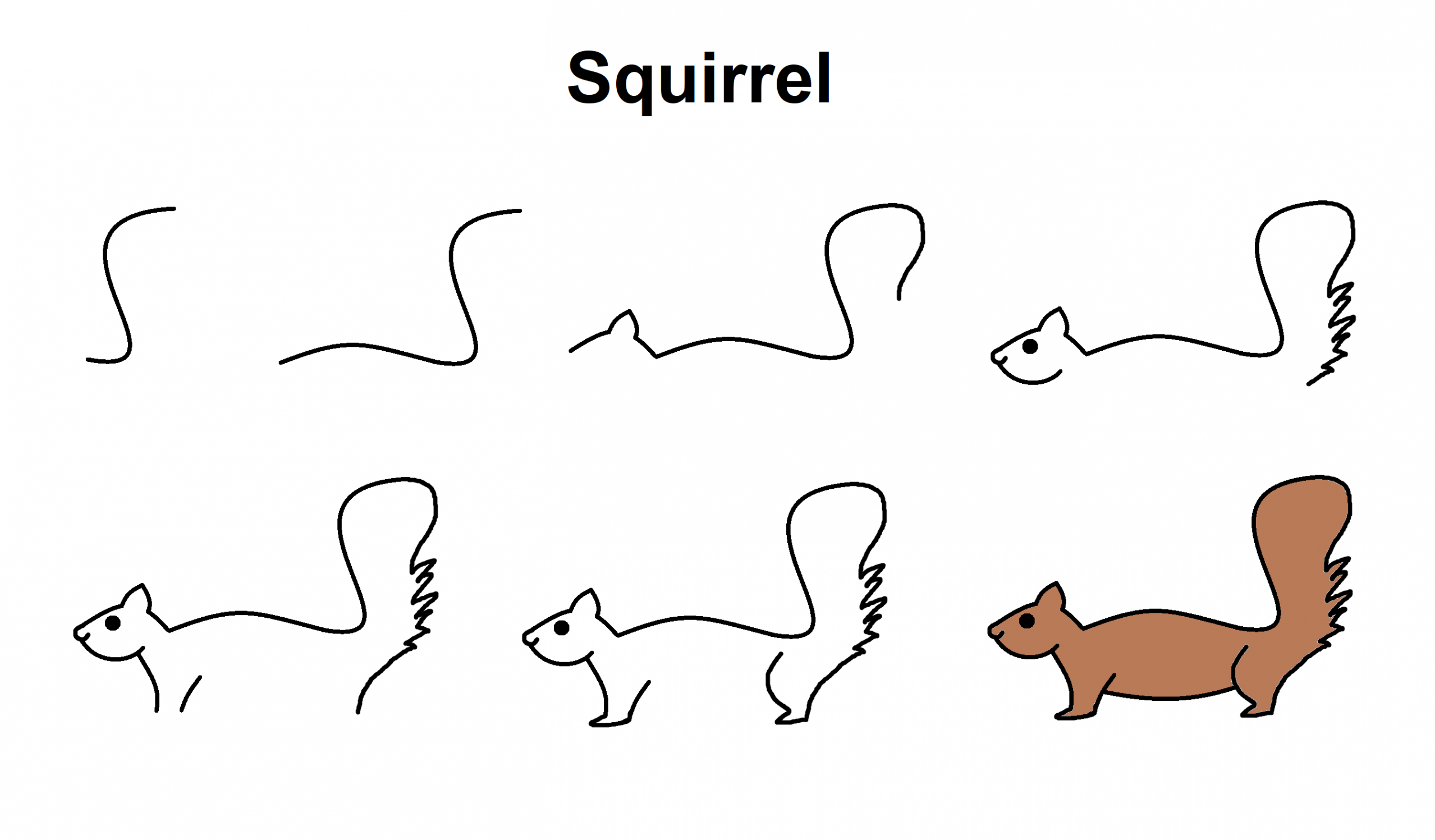 Squirrel  Easy drawings, Elementary drawing, Squirrel