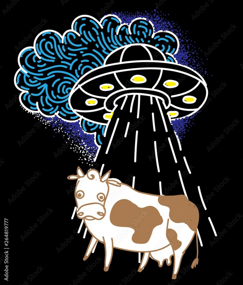 The cow is kidnapped by a UFO