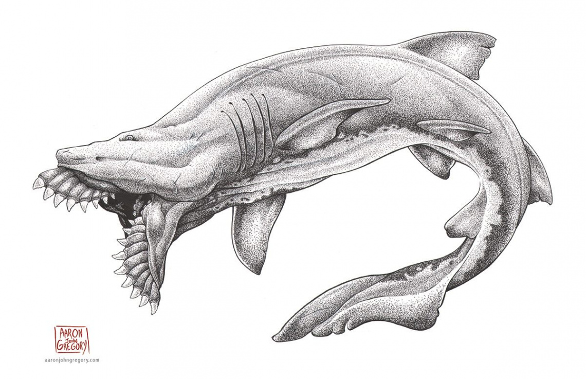 The Delicate Art of Illustrating Ancient Sharks - Atlas Obscura