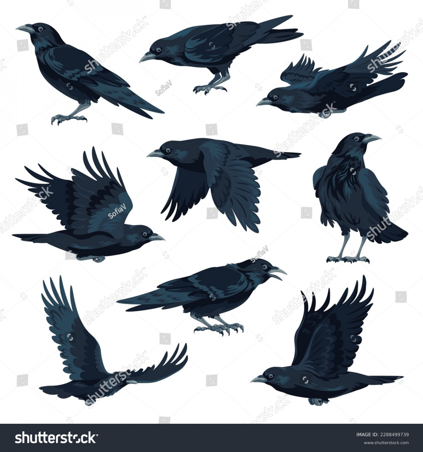 + Thousand Crow Profile Royalty-Free Images, Stock Photos