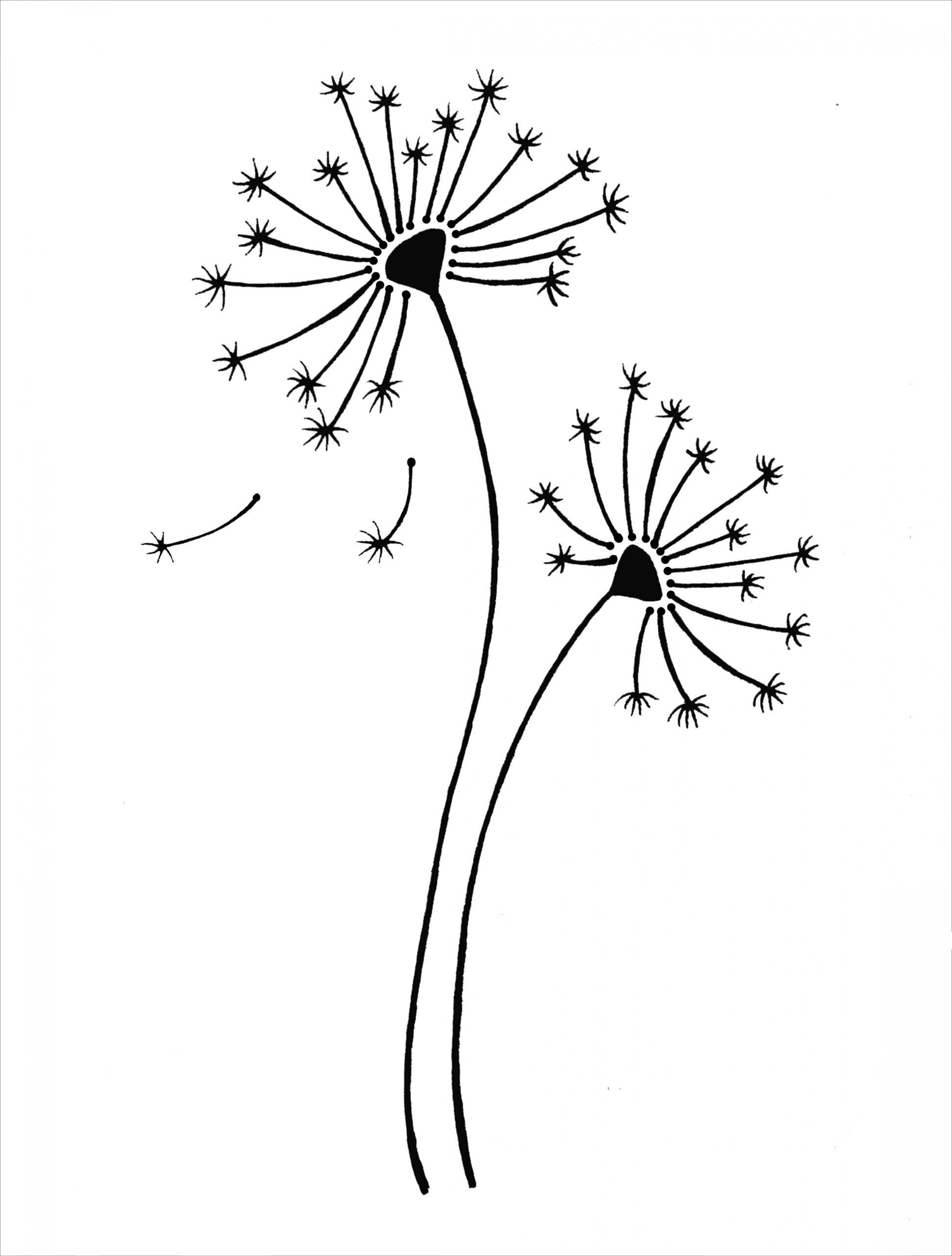 Thumbprint Dandelion Free Printable Template - Printable Templates