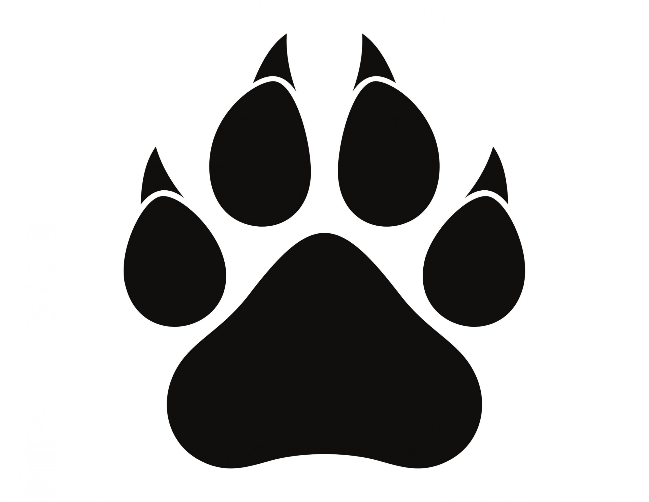 Tiger Paw SVG Instant Download SVG PNG Jpg Digital Download - Etsy