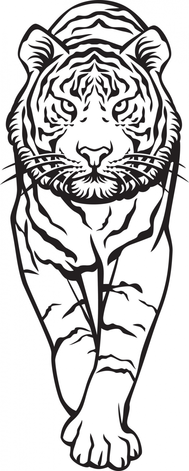 Tiger Walking Black and White - Front Side