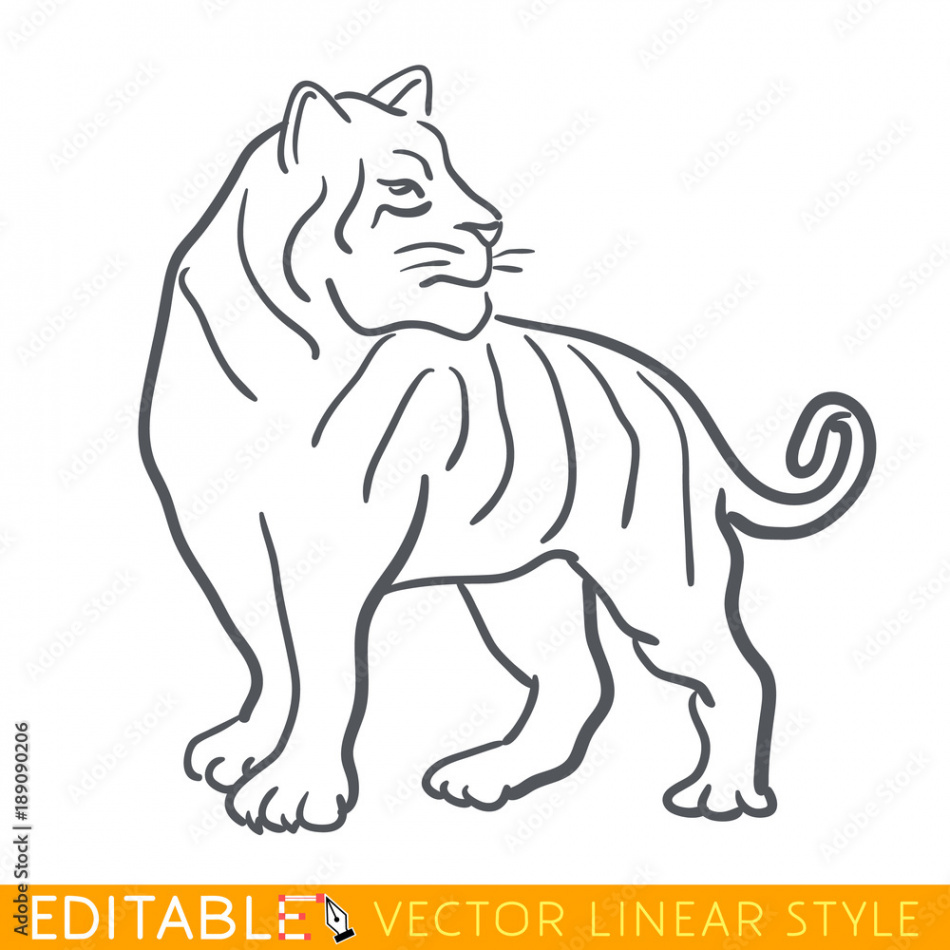 Tiger zodiac sign. Tiger Chinese year. Calendar