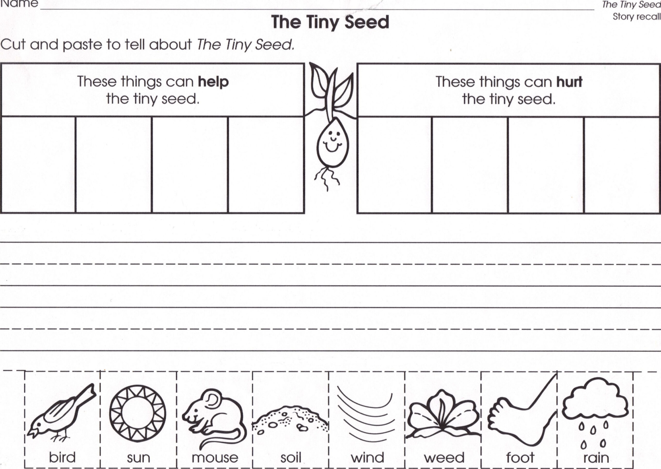 tiny seed  The tiny seed, Plants kindergarten, Tiny seed activities