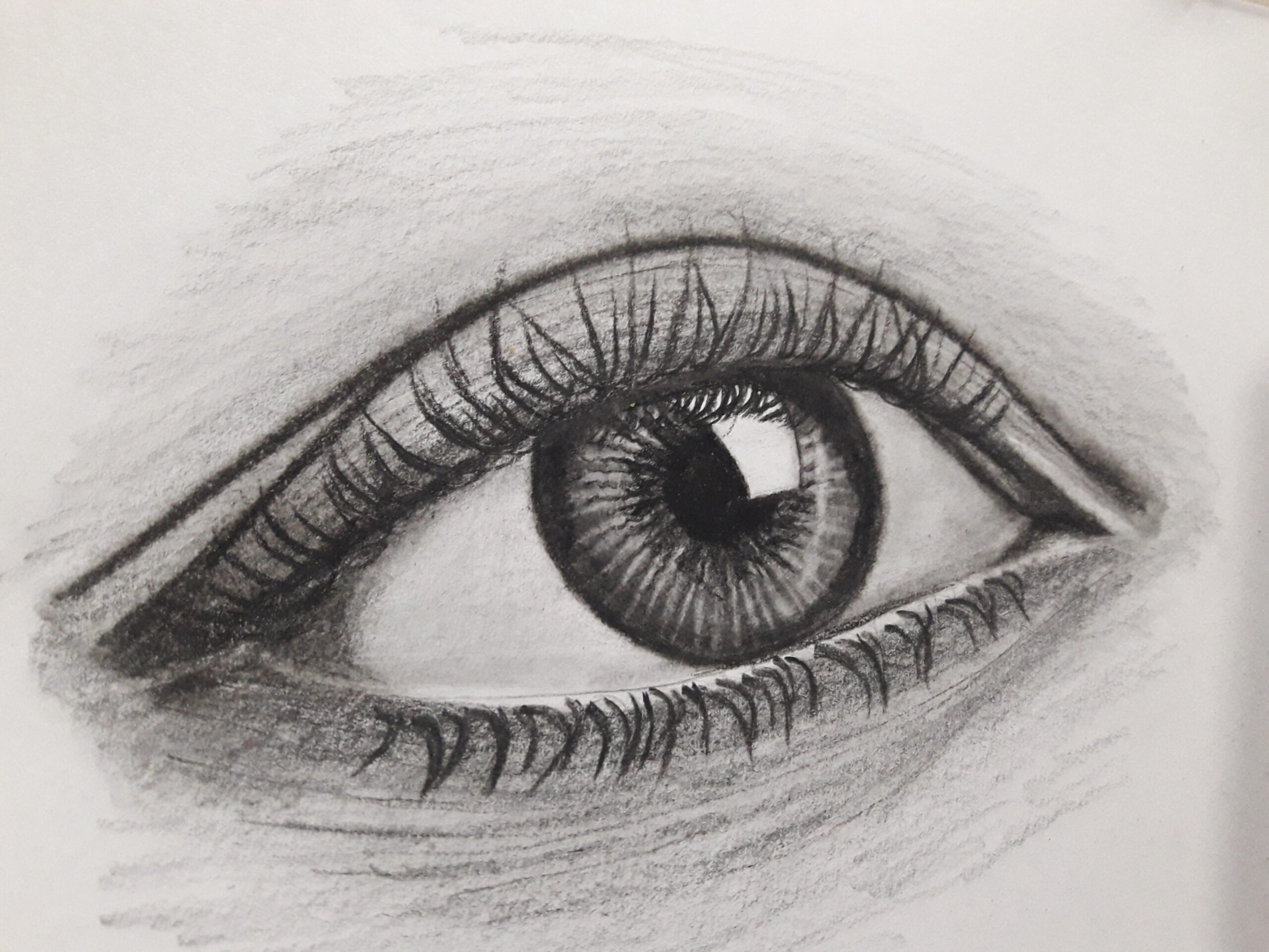 Top  Tips for Learning How to Draw the Perfect Eye