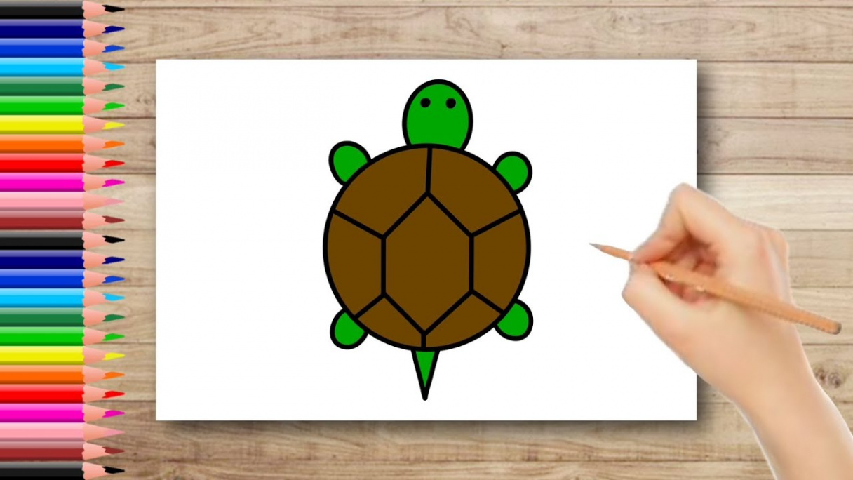 Turtle Drawing Easy  How To Draw Turtle For Kids