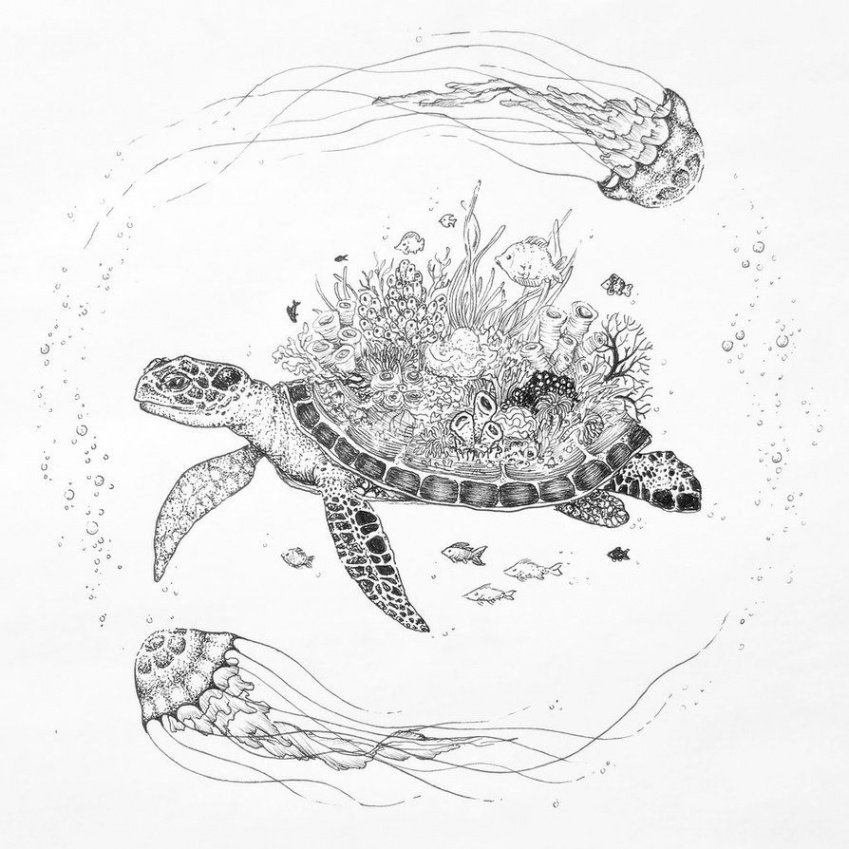 Turtle reef and jelly fish. ink on paper