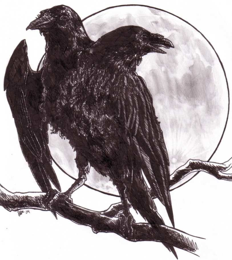 two-headed raven by jamberry on DeviantArt